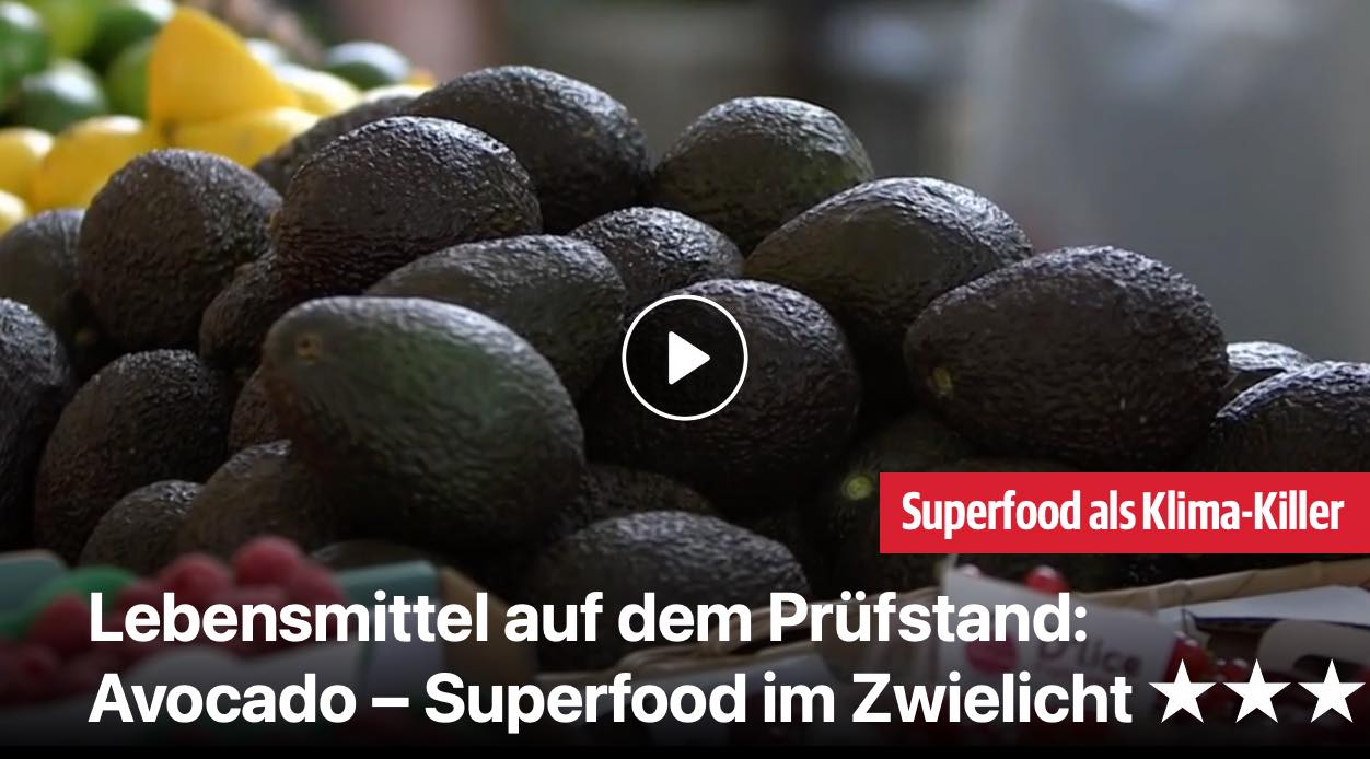 Avocado - Superfood im Zwielicht