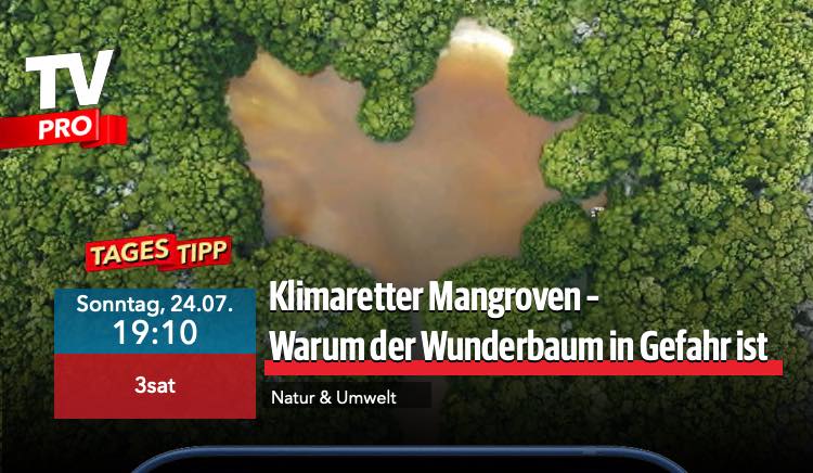 TV Tipp: Klimaretter Mangroven