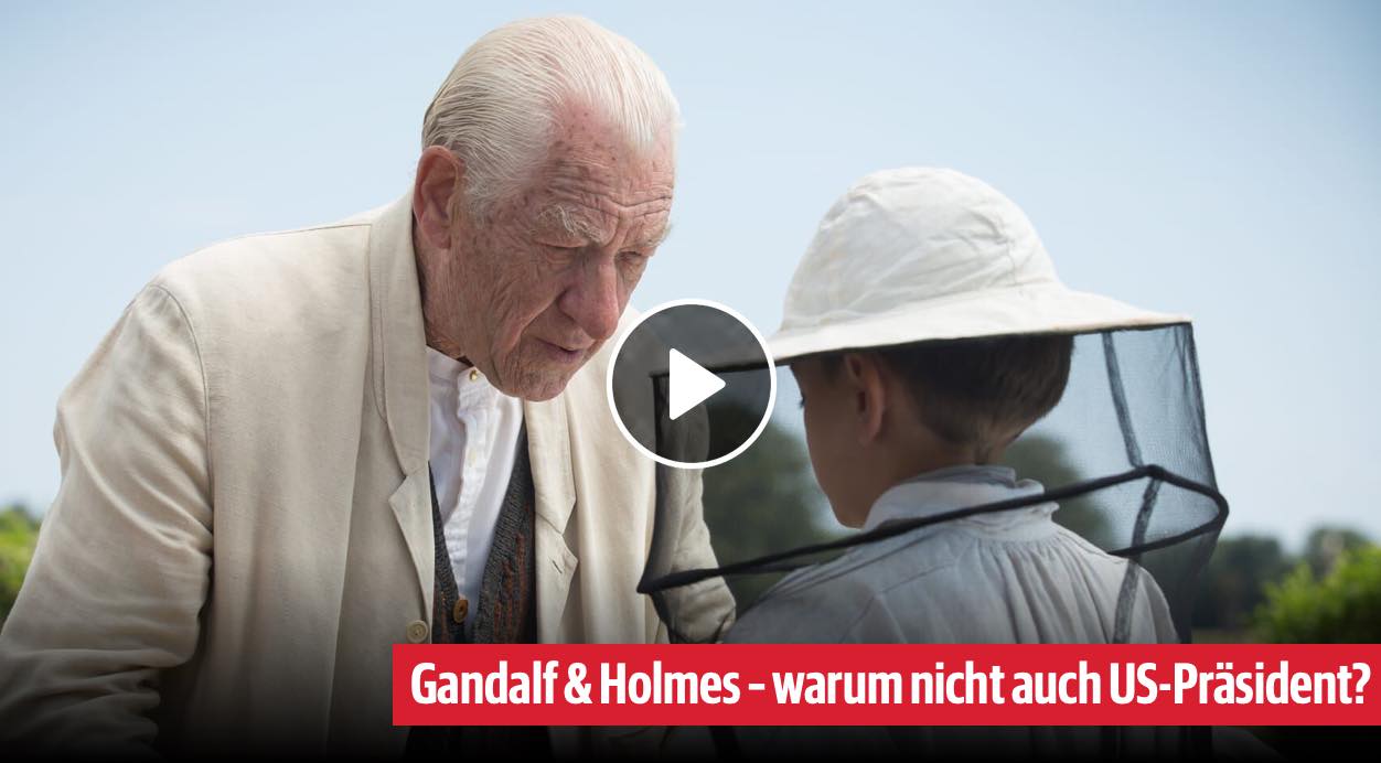 Mr. Holmes Bild