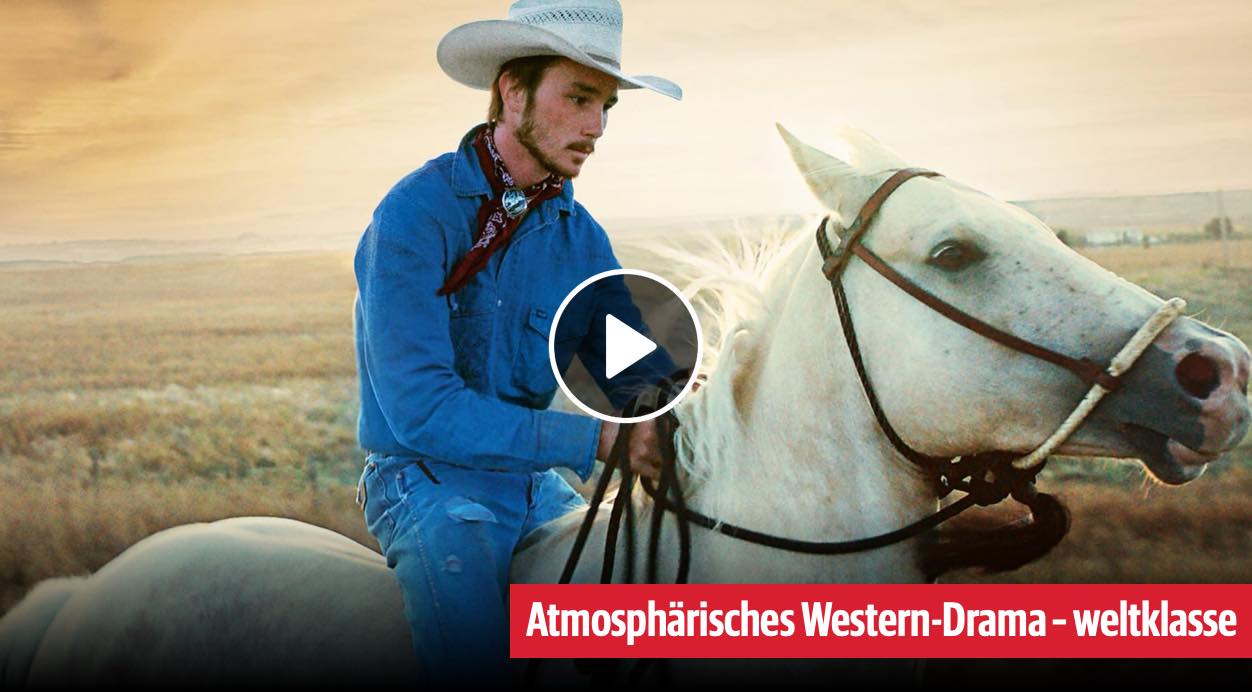 The Rider Bild