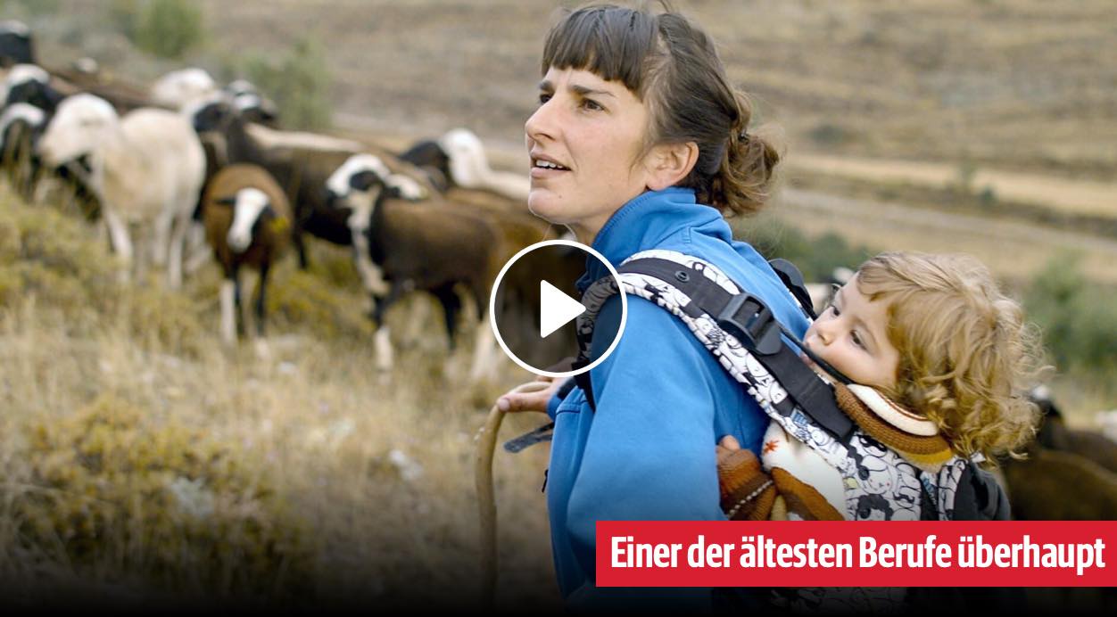 Das Schicksal der Schäfer
