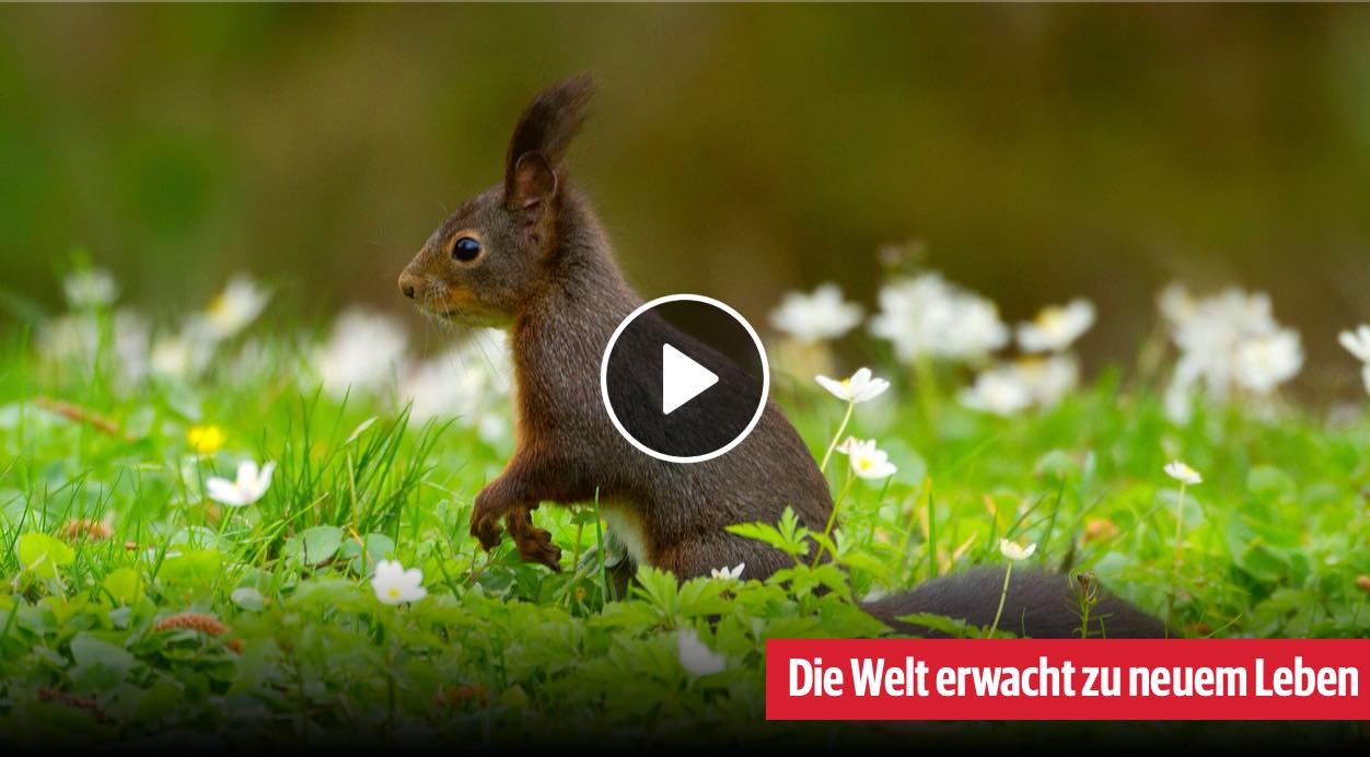 Frühlingswelten Bild