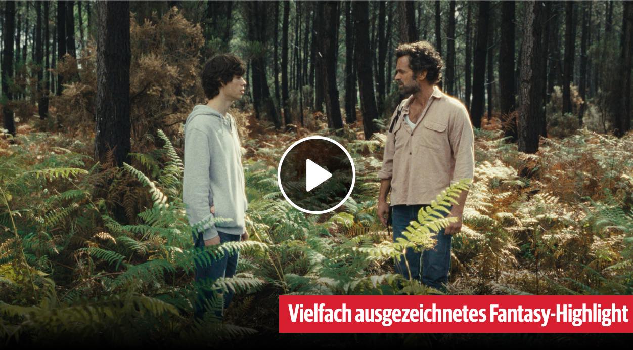 Animalia Bild