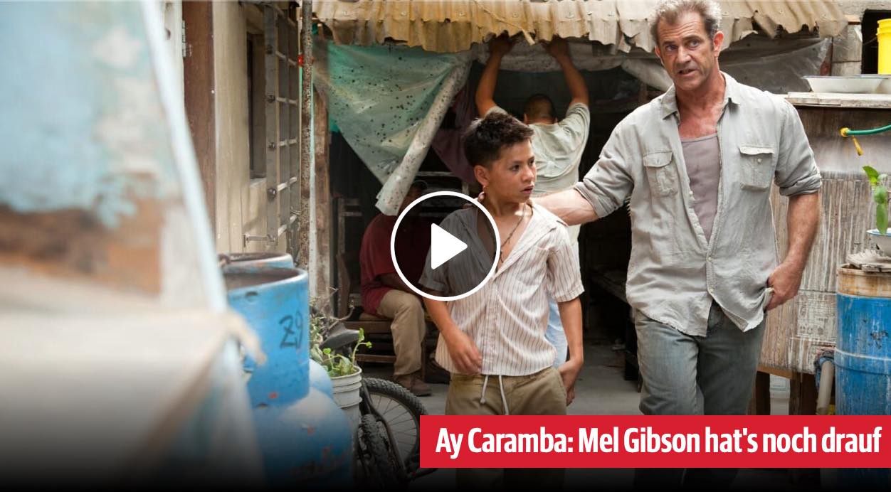 Get the Gringo Bild