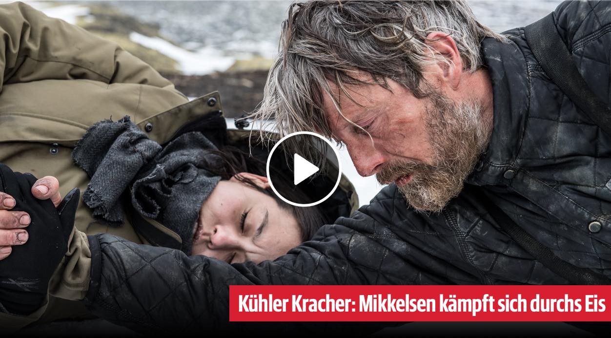 Arctic Bild